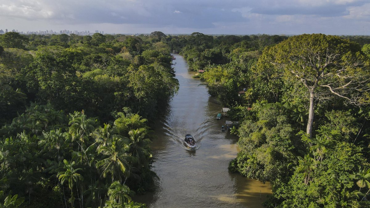 Fotografía aérea de un bote navegando por un río en una zona de la floresta Amazónica, el 6 de agosto de 2023, en el estado de Pará, norte de Brasil.