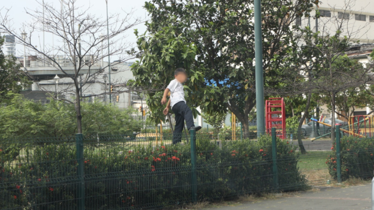 Hecho. La falta de cuidado genera peligro para los niños que utilizan el área.