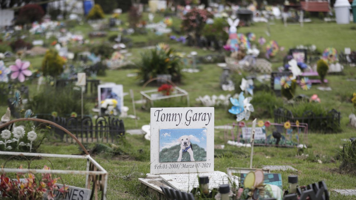En Colombia se realiza la misma cantidad de funerales para personas que para animales.