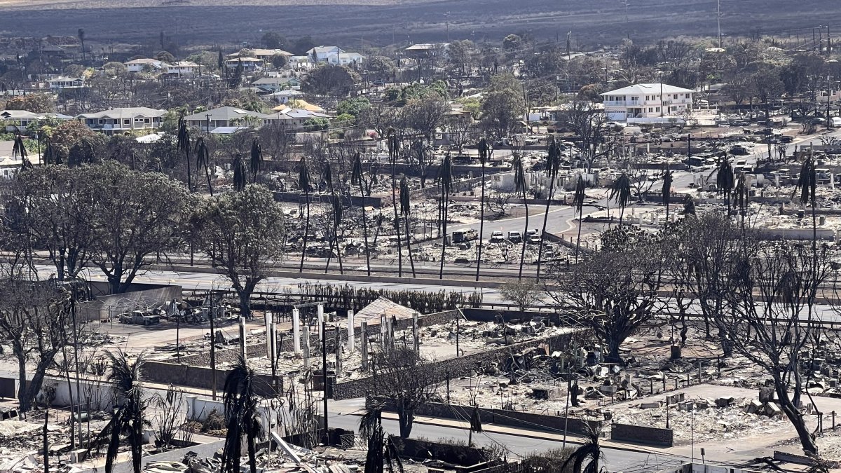 Los muertos en la isla ascendieron a 80.