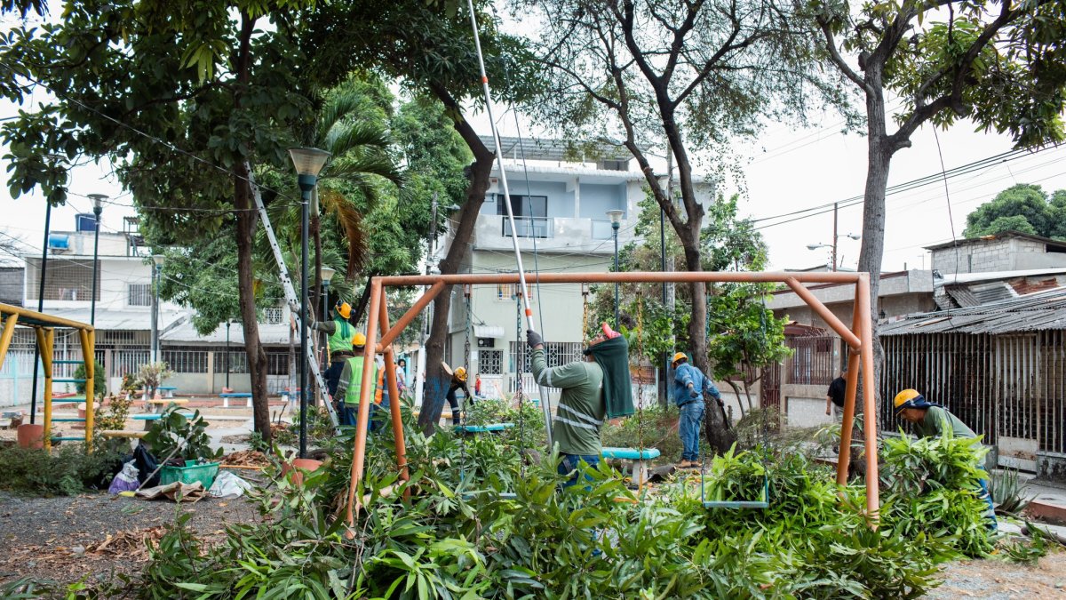 Limpieza. Los árboles fueron podados para despejar también los juegos infantiles.