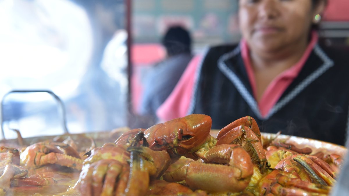 El primer y segundo periodo de veda ya fueron anunciados para el 2024