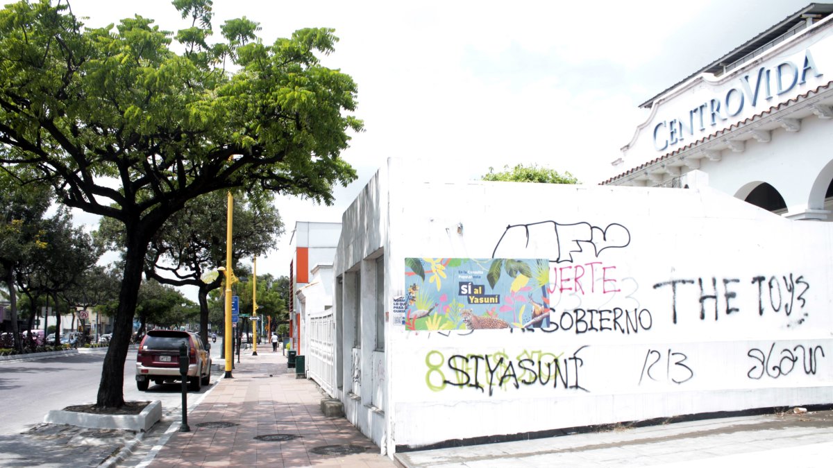 En las calles Víctor Emilio Estrada y Ébanos, en Urdesa, las paredes están grafiteadas.