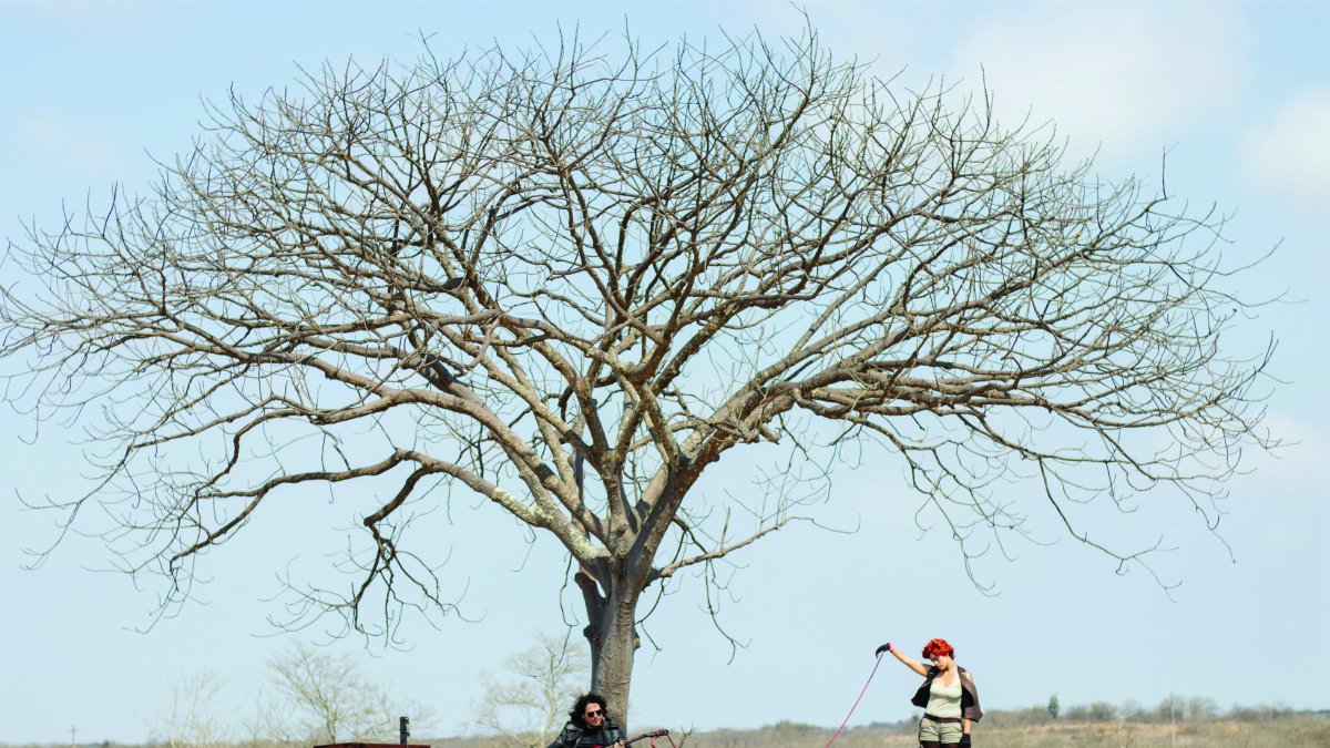Portada de Killer in my head, cuyo video musical será estrenado el 29 de agosto en el MAAC Cine.