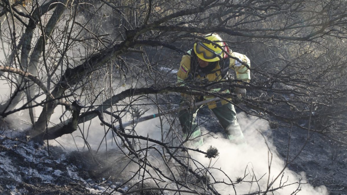 El cerro Casitagua empezó a arder a las 10:00 del 18 de agosto y hasta la noche los bomberos seguían peleando contra las llamas.