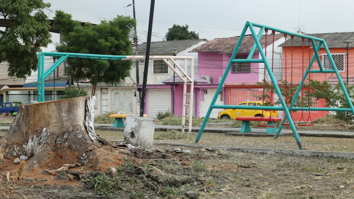 En el Parque de los Niños, de Guayacanes, se podaron los árboles y solo quedan pedazos de troncos.