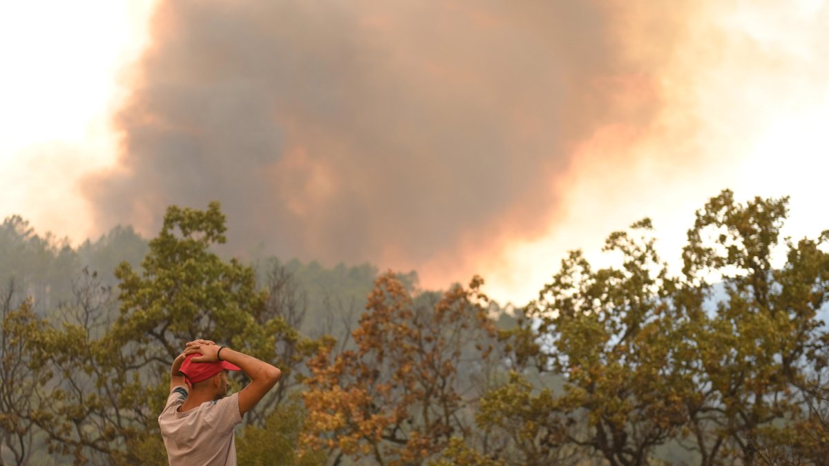 Un civil observa un incendio que quema árboles en un área entre la aldea de Sapes y la aldea de Sicorrachi cerca de Alexandroupolis, Tracia, norte de Grecia, 23 de agosto de 2023.