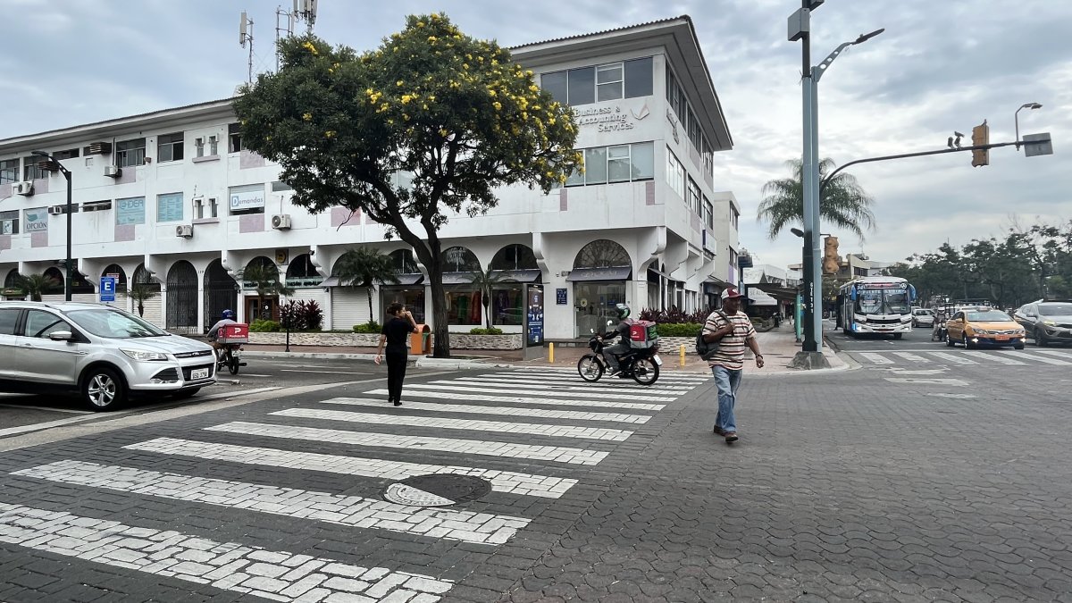 Urdesa. En la intersección de las avenidas Presidente Juan de Dios Martínez Mera y Víctor Emilio Estrada se visualizan los guayacanes.