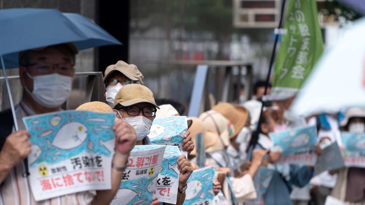 Manifestantes sostienen carteles contra el vertido al océano Pacífico de agua tratada que procede de la planta nuclear de Fukushima, este 24 de agosto en Tokio.