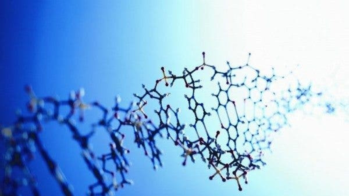 Una imagen del cromosoma humano.