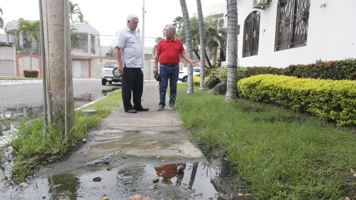 Con las aguas de los pozos sépticos así de rebosados han convivido los habitantes de Aquamrina en repetidas ocasiones este año.