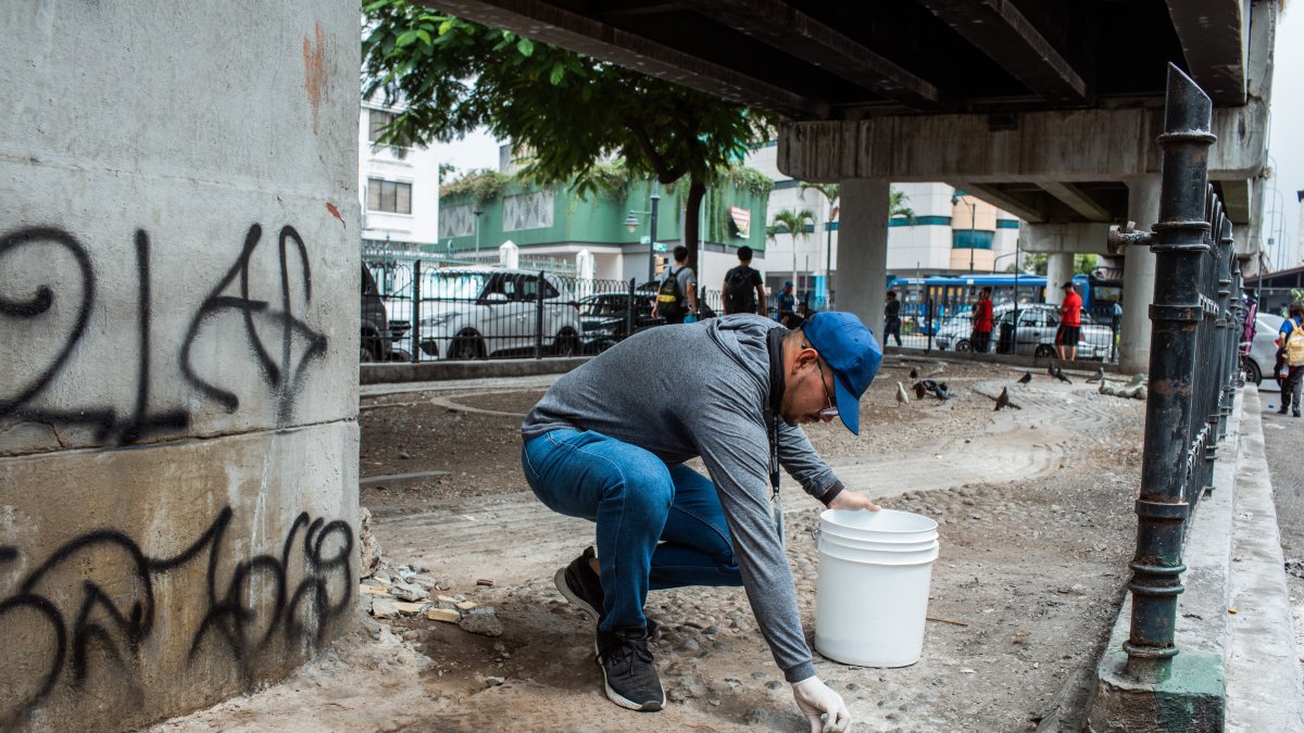 Trabajo. Se anuncian más tareas en la siguiente semana.