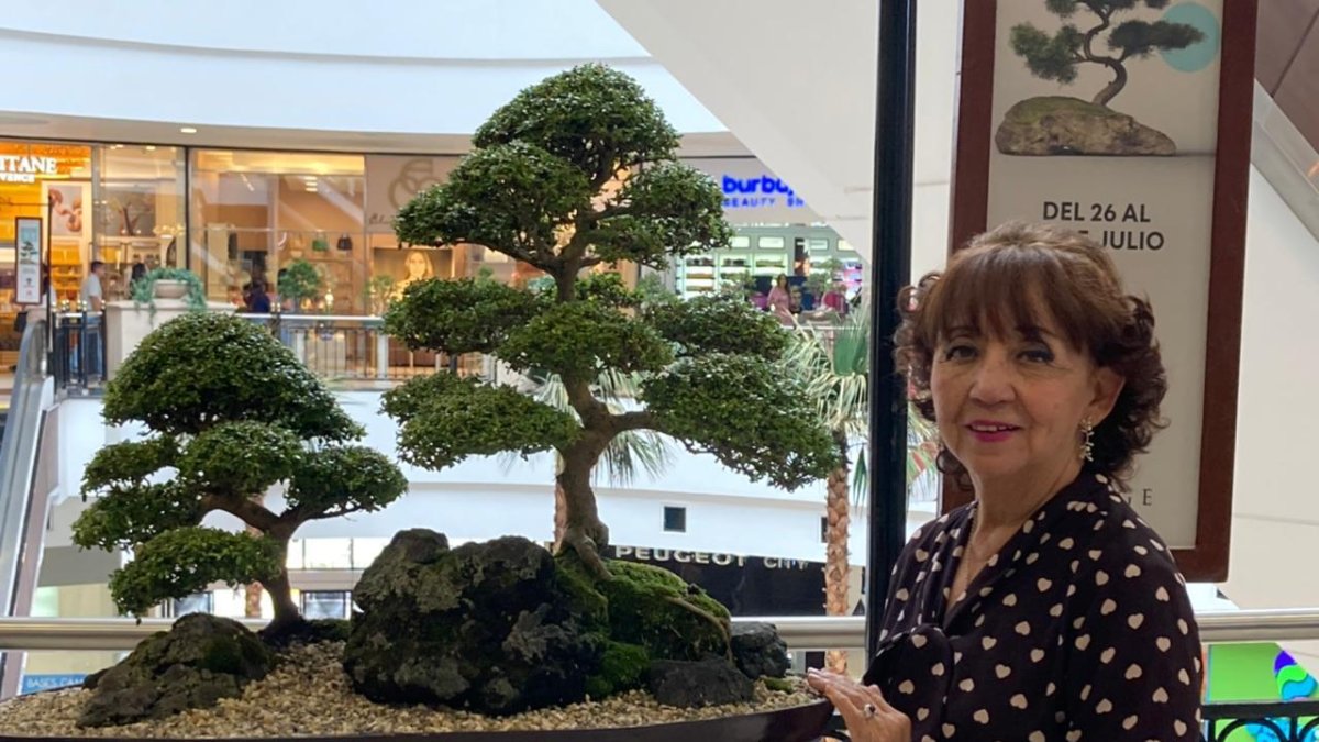 Elizabeth Roca es una apasionada del bonsaí. En su casa tiene más de 200 árboles.