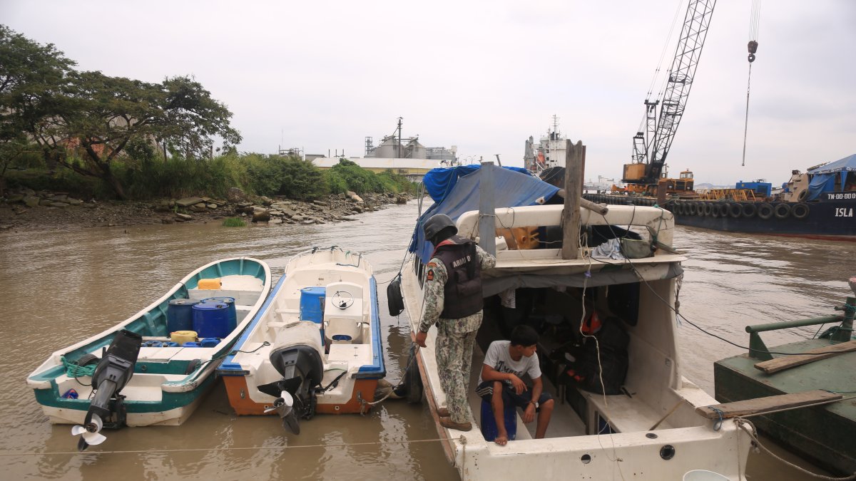 La tarea de revisión se realizó desde Puerto Santa Ana hasta Las Esclusas.