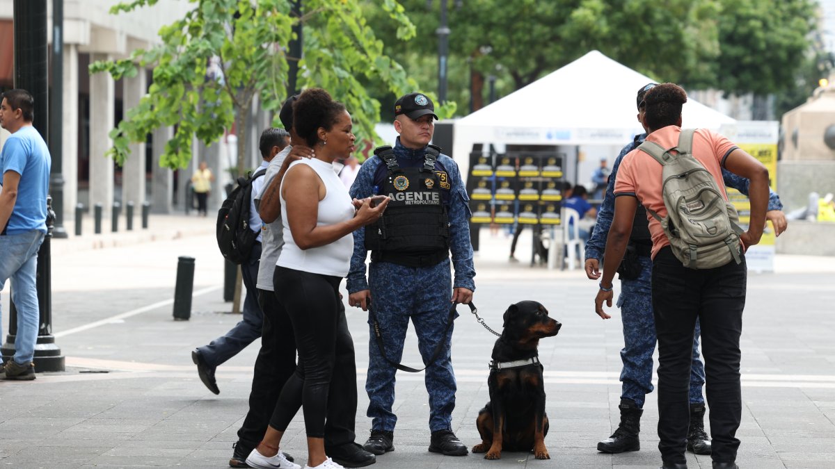 Más de la mitad de los perros que iniciaron este proyecto han salido de las filas de ‘protección’ para la ciudadanía.