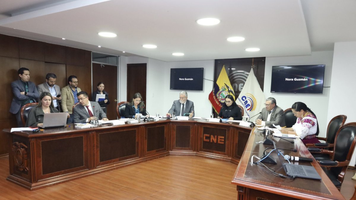 El pleno del Consejo Nacional Electoral no ha definido cómo se repetirán las elecciones en el exterior.