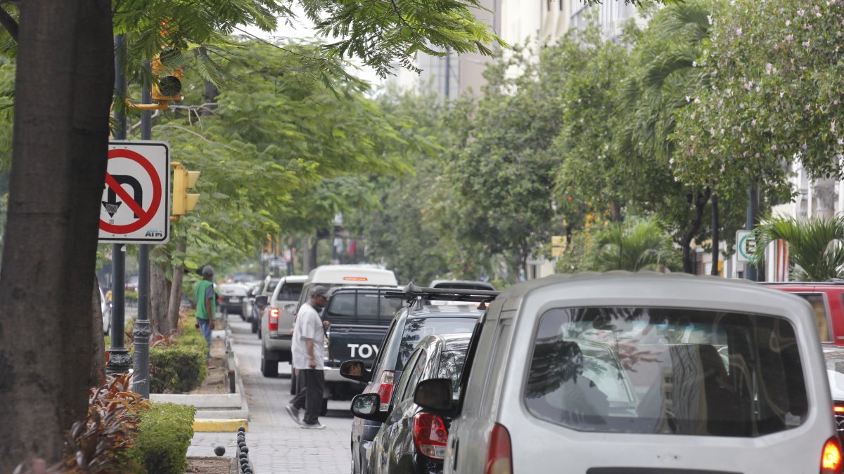 Semaforización. Pese a que los semáforos están, es casi un desafío poder divisarlos. Los arbustos obstaculizan la vista de los conductores.