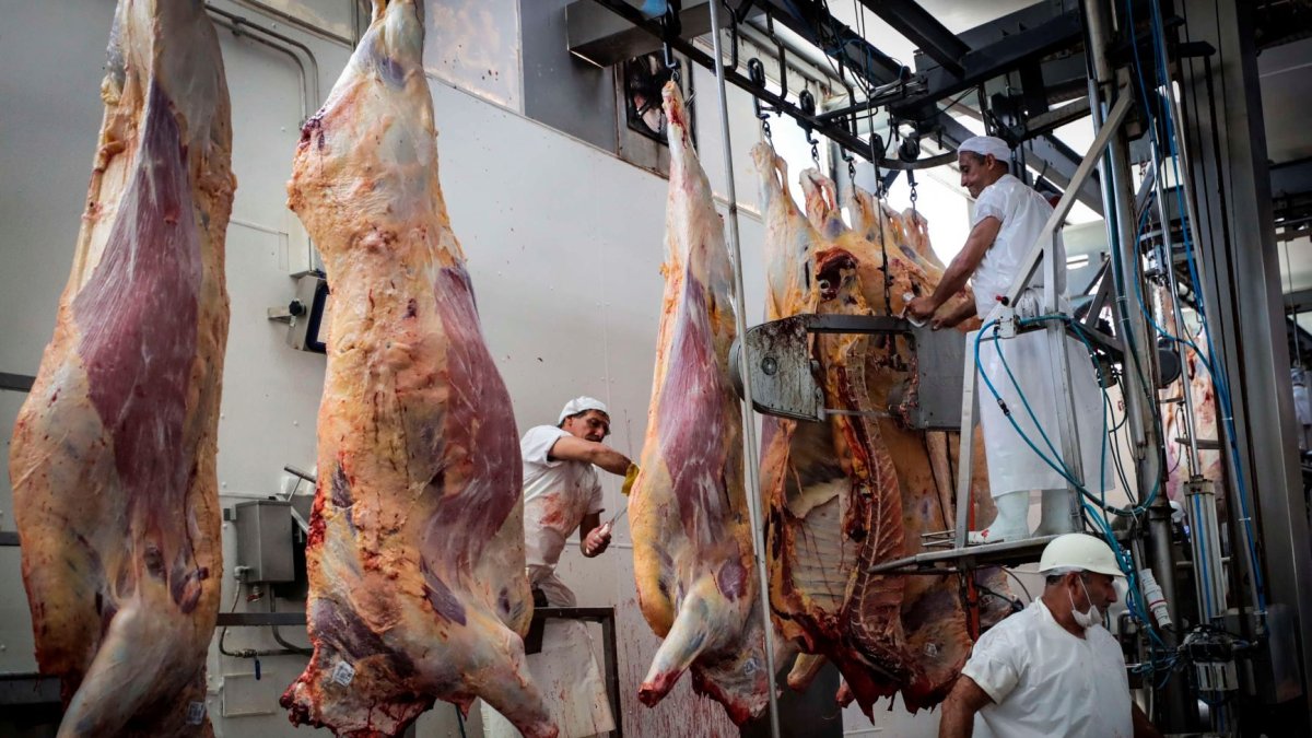 Empresa.- Una  planta frigorífica de Marfrig.