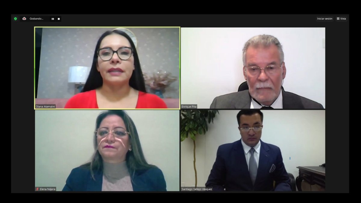 En sesión virtual, el pleno del órgano electoral convocó a las nuevas elecciones en el exterior.