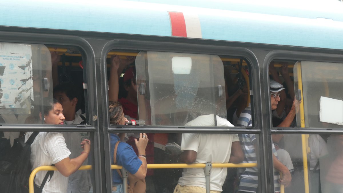 Panorama. Usuarios en un articulado del sistema. 