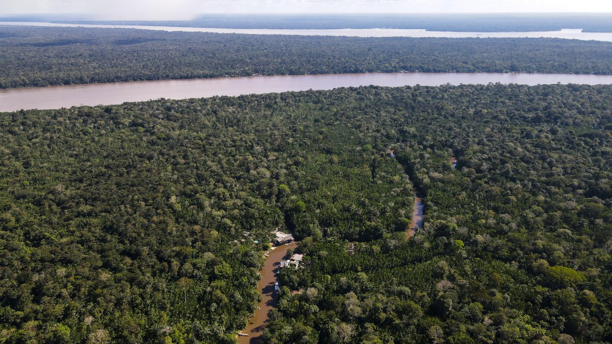 Fotografía aérea de archivo que muestra un área de la selva amazónica, en el estado de Pará (Brasil).