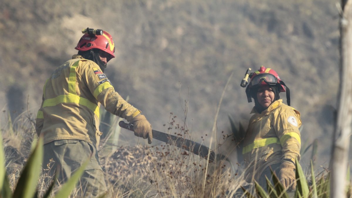 Labores. Los incendios forestales comenzaron el martes 29 de agosto de 2023.