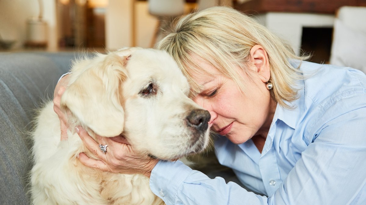 Perder a su compañero de vida puede ser un fenómeno difícil de procesar.