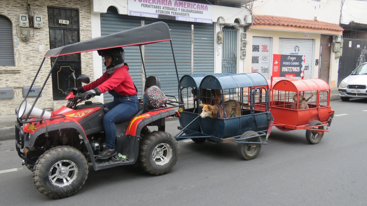 Recorrido. Natalia Salazar cumple una de sus rutas con sus pasajeros. Los lleva de paseo y les permite bajar en algún parque para que se distraigan.