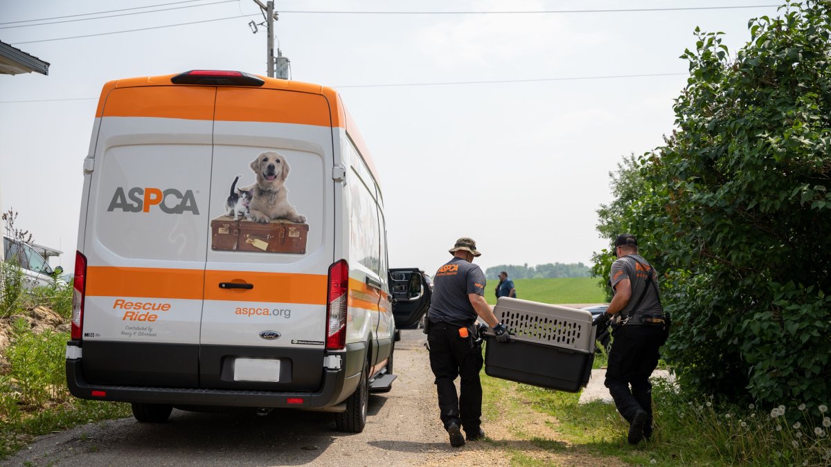 Un brigada de la Sociedad Americana para la Prevención de la Crueldad hacia los Animales (ASPCA), se acerca a recoger un perro.