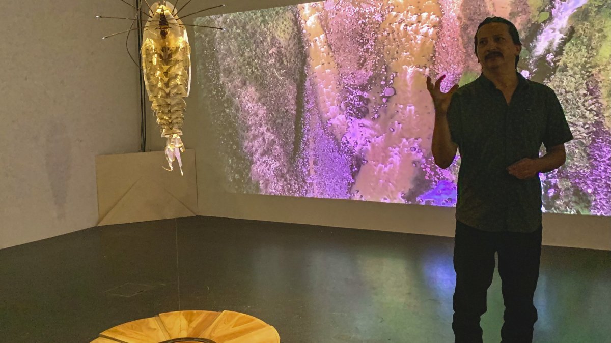 El artista Jonathan Torres Rodríguez explica su proyecto, Máquinas Salvajes, en el Museo de Arte Lentos de Linz (Austria).