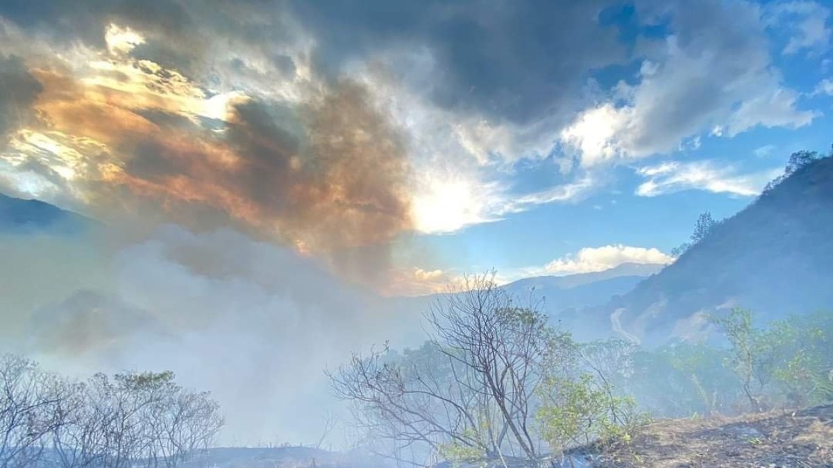 El incendio forestal ocurrido en Malacatos, Loja, ha sido controlado en su totalidad.