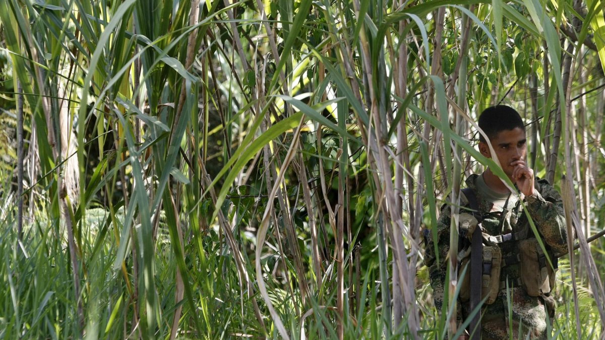 Conflictos. Un soldado vigila una de las zonas de combate en Colombia.