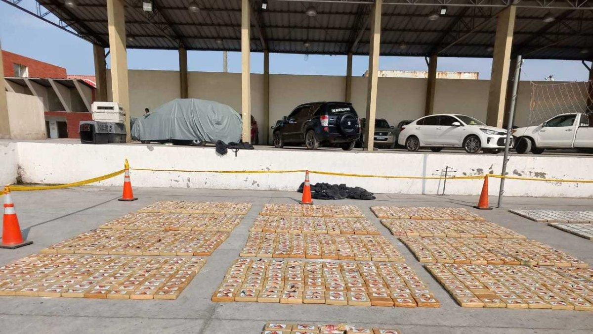 Carga.- La droga que encontraron en un contenedor de banano en el Puerto de Guayaquil, en la primera semana de septiembre de 2023.