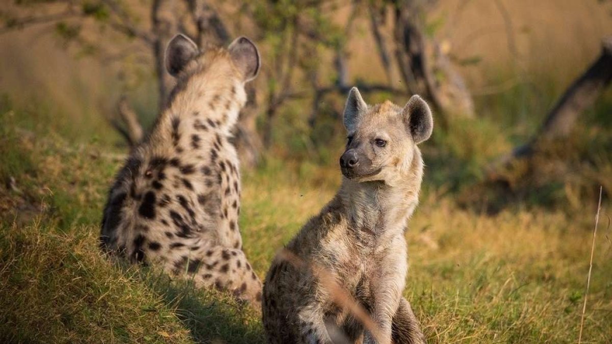Tras el incidente, la Policía alertó a los ciudadanos sobre los peligros de 