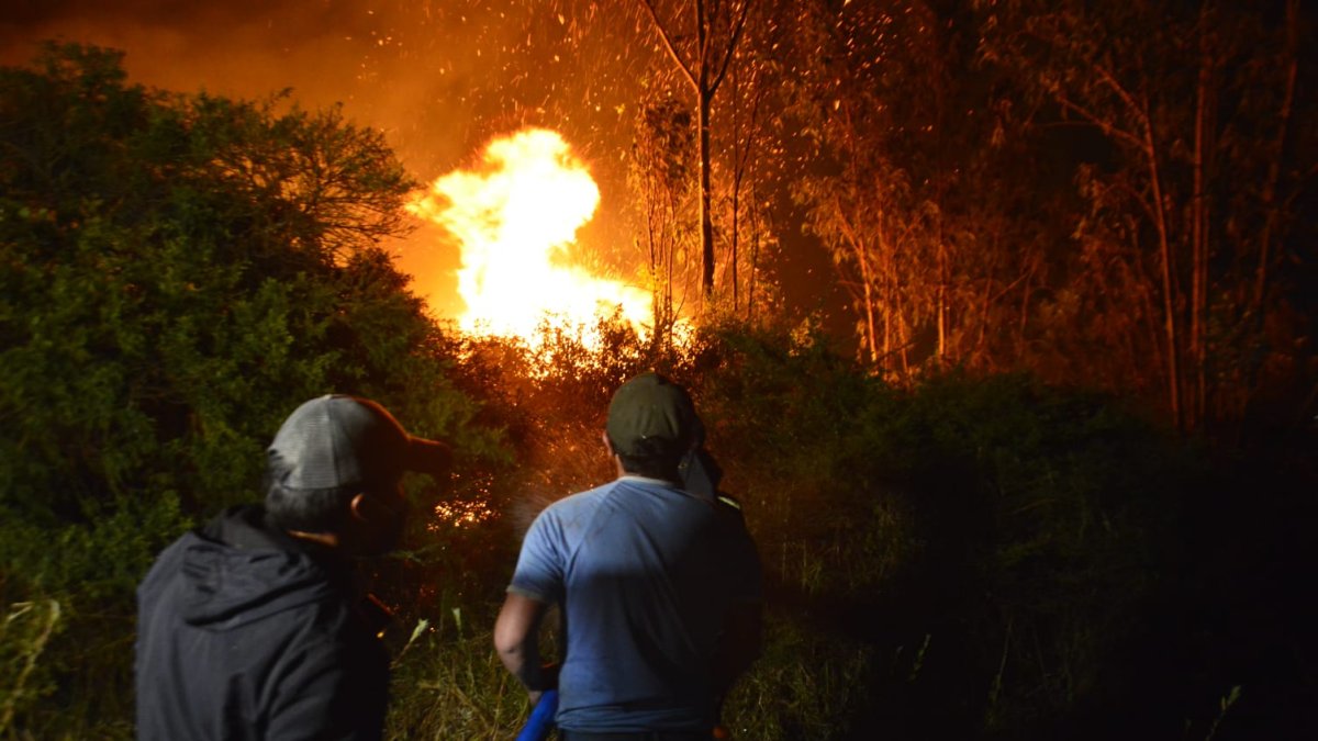 Quiteños intentan apagar las llamas en una zona de vegetación.