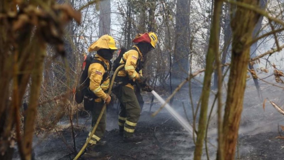 22 incendios forestales se registraron en Quito en las últimas 24 horas