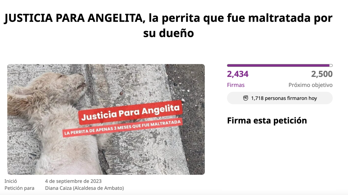 Caso de maltrato animal en Ecuador