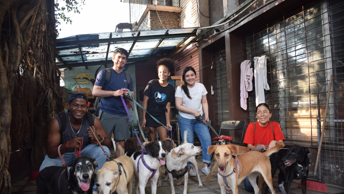 Voluntarios de la Fundación Amigos con Cola.