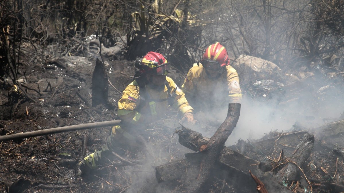 Tarea. Varias instituciones se unieron para sofocar las llamas en Puembo.