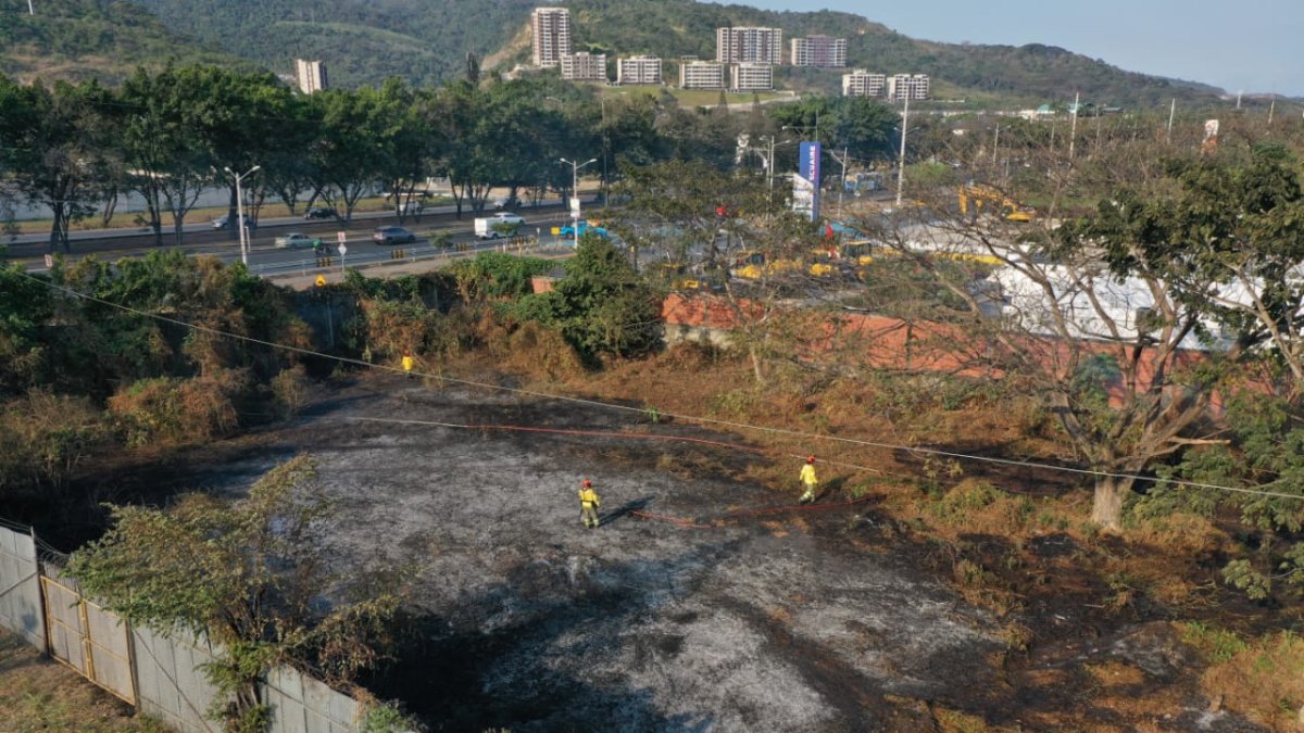 Altas temperaturas ocasionaron varios incendios