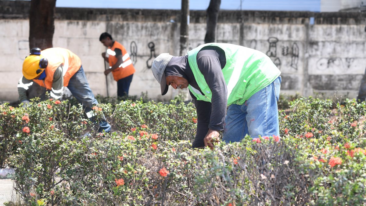 El Cabildo atendió la necesidad comunitaria en tres parques.