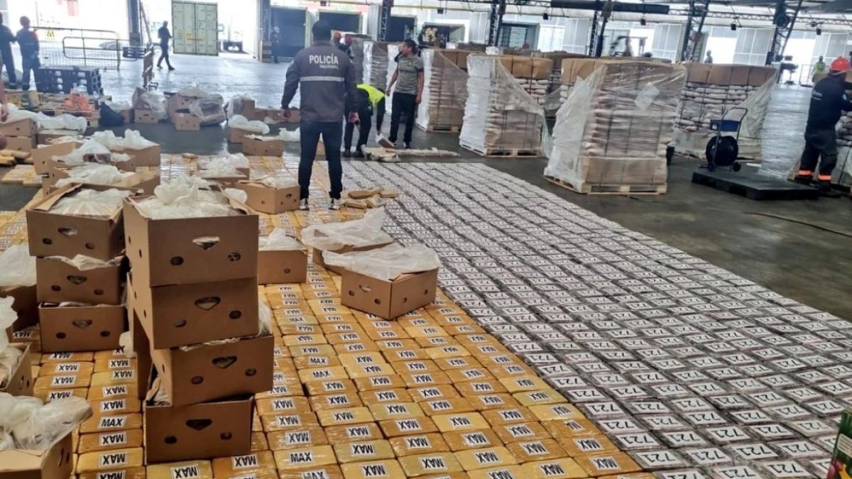 Media tonelada de clorhidrato de cocaína fue descubierto por la unidad Antinarcótico operativo Tormes 2