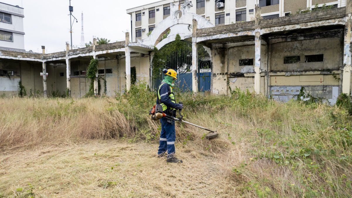 Intervención. Una tarea de desbroce de maleza se desarrolló en el lugar.