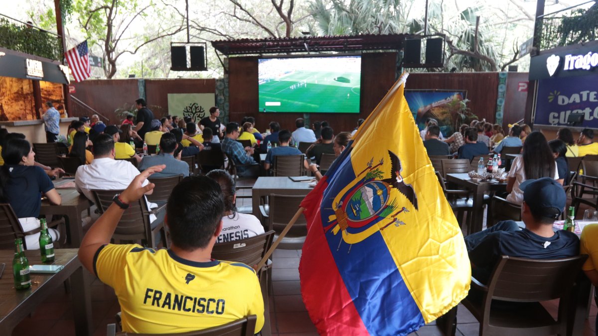 Varias banderolas tricolores se hicieron presentes para ver la victoria de la Tri.