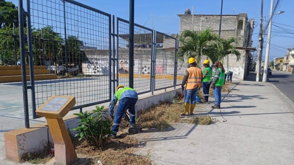 Trabajo. Durante las intervenciones se realiza poda, desbroce, limpieza, desalojo y riego de plantas.
