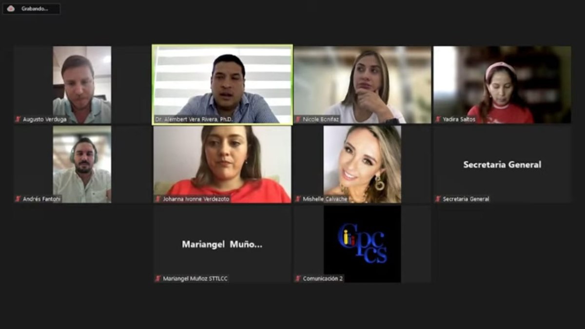 La sesión extraordinaria del pleno del Consejo de Participación Ciudadana se realizó de forma virtual.