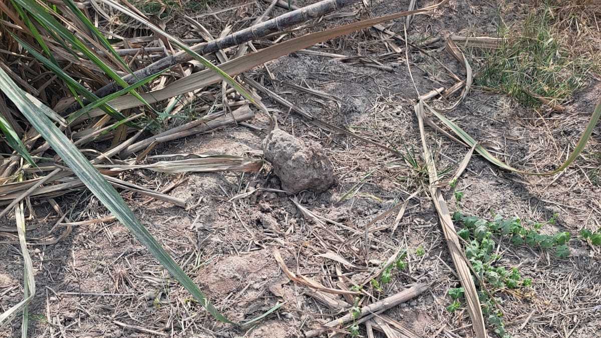 Hallazgo. Una de las prendas encontradas junto a los cuerpos.