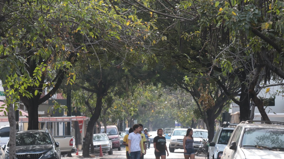 En el barrio Orellana hay más fresco. De eso dan cuenta sus residentes y algunos vecinos aledaños, incluidos universitarios que caminan por la Luis Vernaza hasta llegar a paraderos de buses.