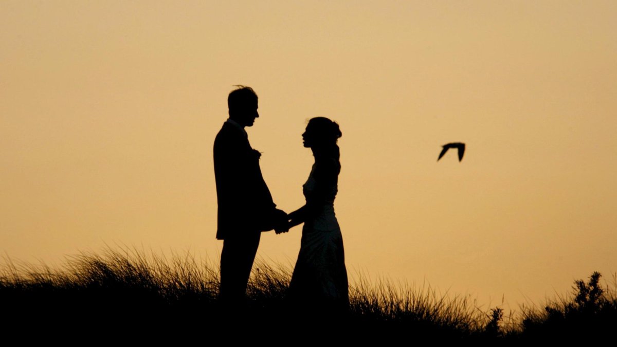 Estudio revela que las variaciones de tamaño celular son independientes de si la célula es grande o pequeña, sugiriendo la existencia de mecanismos de homeostasis del tamaño celular en todo el organismo.