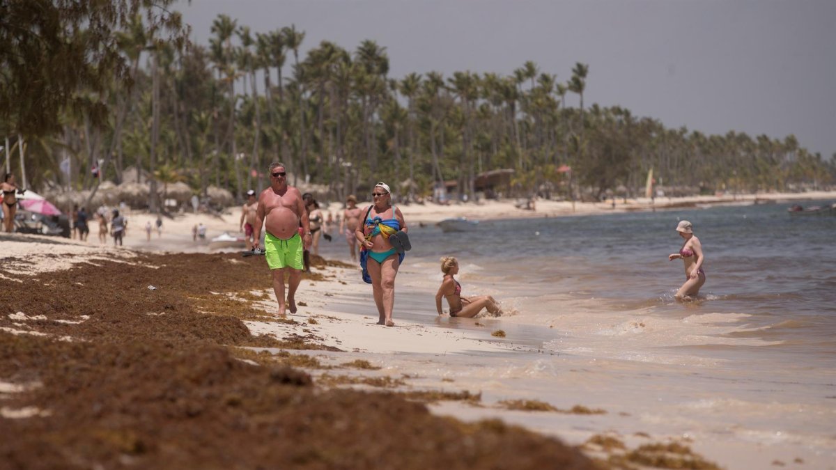 Playa cubierta de sargazo en Punta Cana.